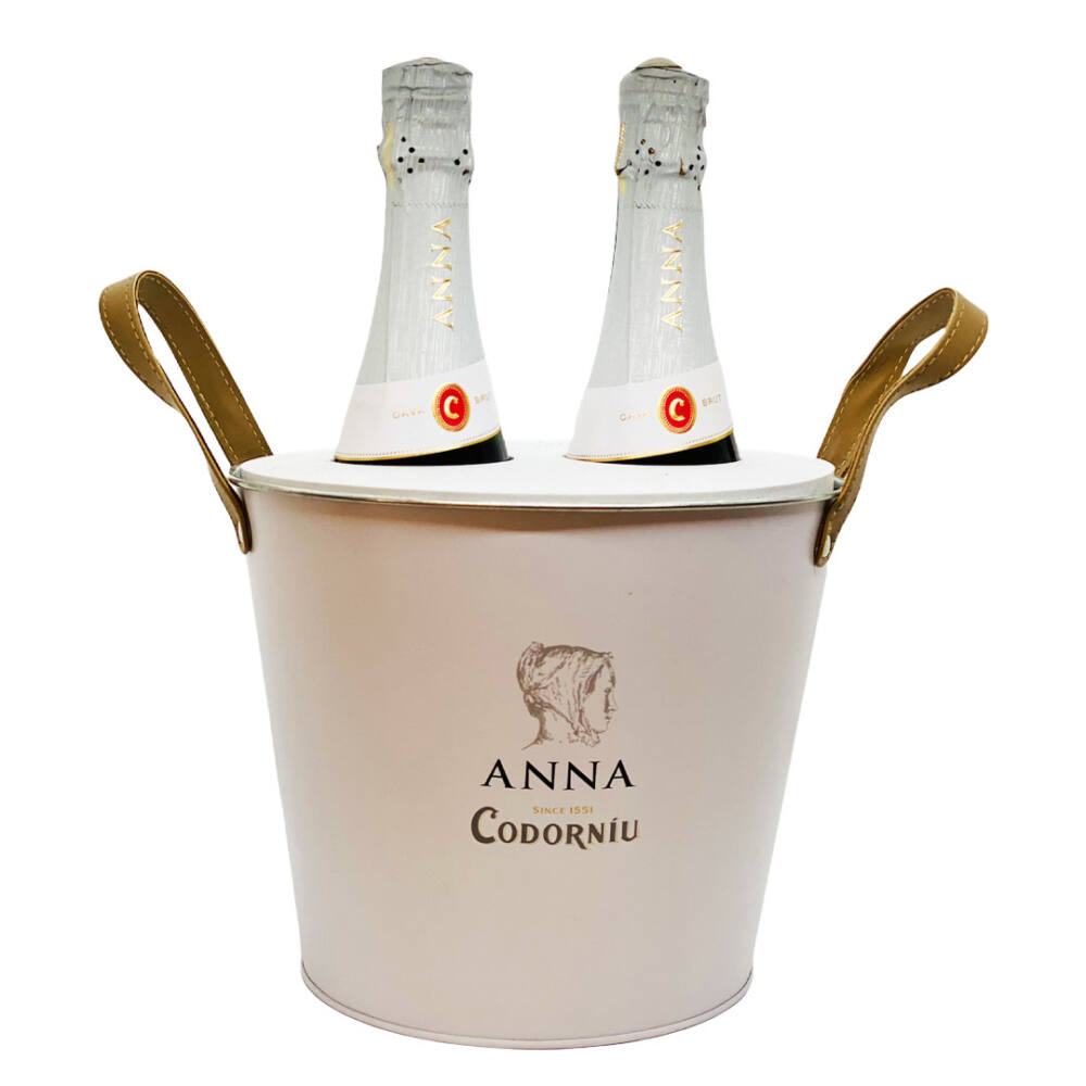 Birthday gift idea - champagne in backet