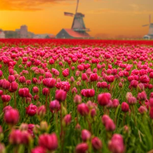Mother's Day gifts around the world