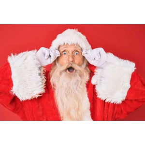 Santa Claus Bag order online