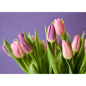 Don't be afraid to buy a gift for Women's Day, it will be good